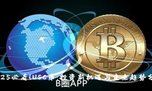2025必看！USC币：投资新机遇与未来趋势分析