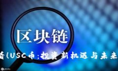 2025必看！USC币：投资新机